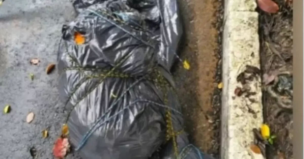 Corpo dentro de saco é localizado por garis no Jabaquara, em São Paulo