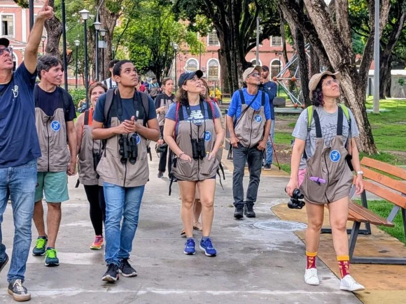 Recife terá trilha guiada para identificar aves no Parque do Caiara