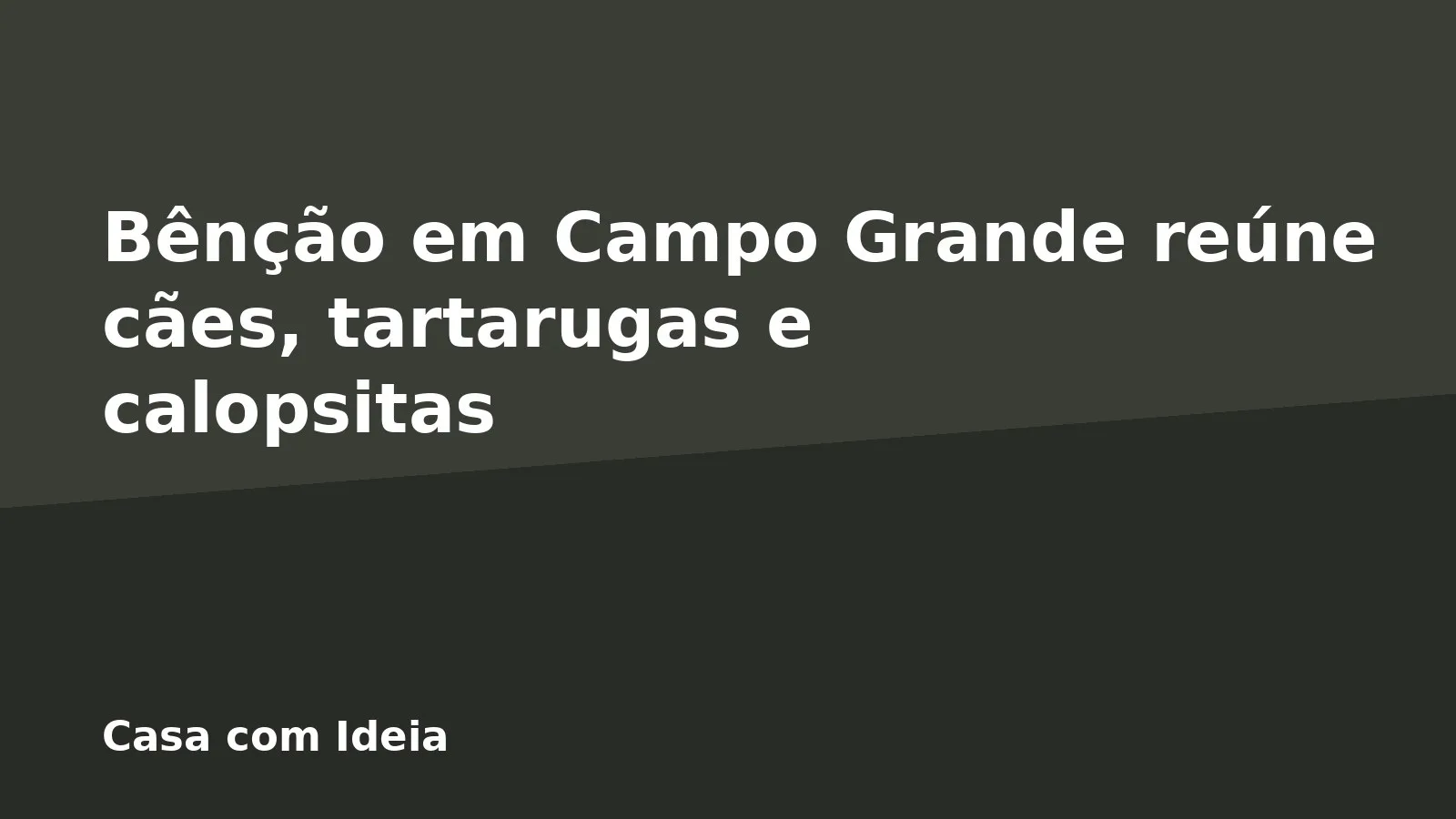 Bênção em Campo Grande reúne cães, tartarugas e calopsitas