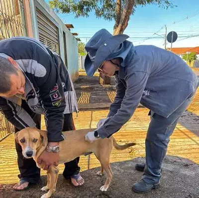 Campo Grande oferece vacinação contra raiva para cães e gatos no Coophasul