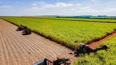 Corante verde no etanol pode elevar custos de usinas de Mato Grosso do Sul