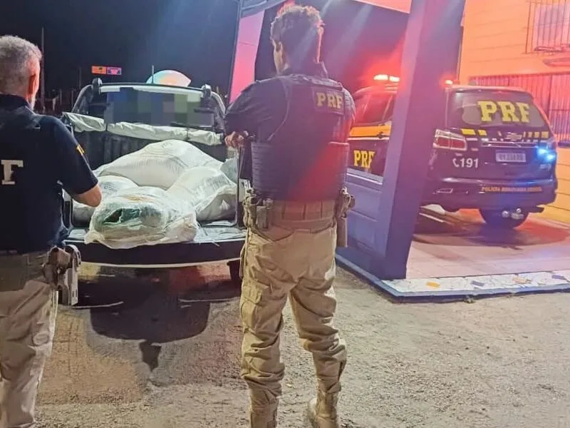 Droga é localizada em carga de ração durante abordagem na BR-232
