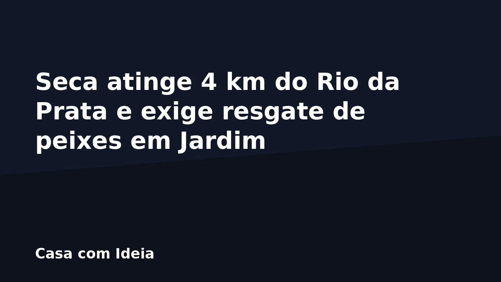 Seca atinge 4 km do Rio da Prata e exige resgate de peixes em Jardim