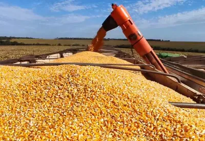 Usinas de etanol ampliam mercado para o milho em Mato Grosso do Sul