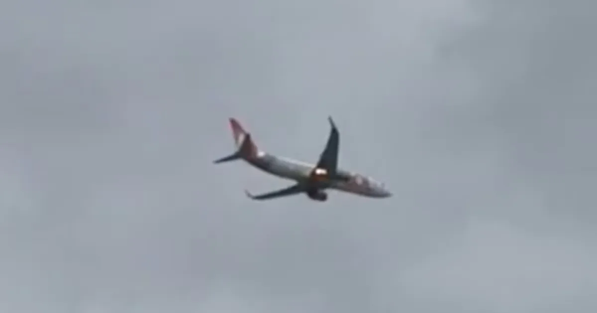 Avião da Gol retorna ao Recife após colisão com pássaro durante voo para Guarulhos