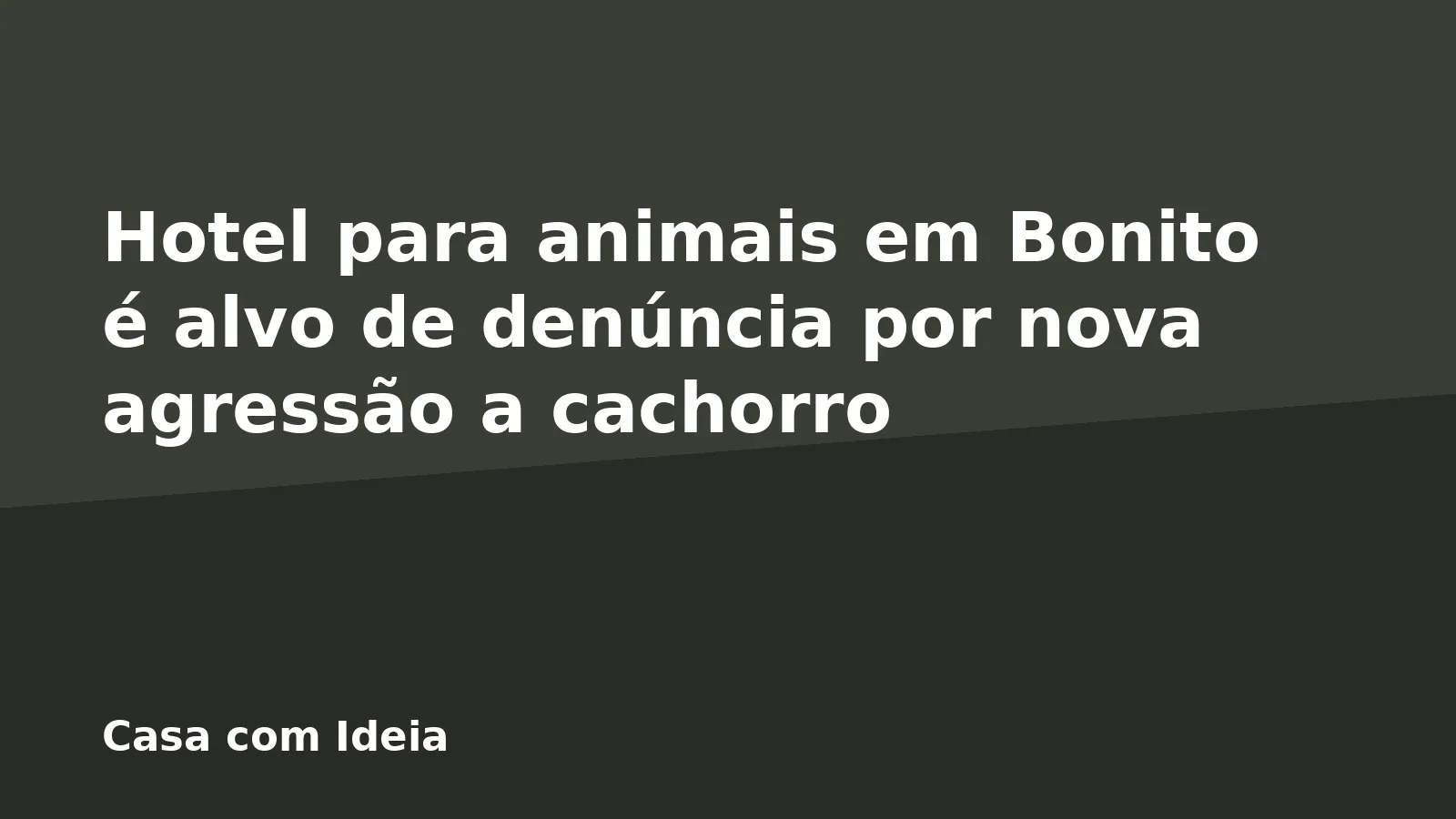 Hotel para animais em Bonito é alvo de denúncia por nova agressão a cachorro