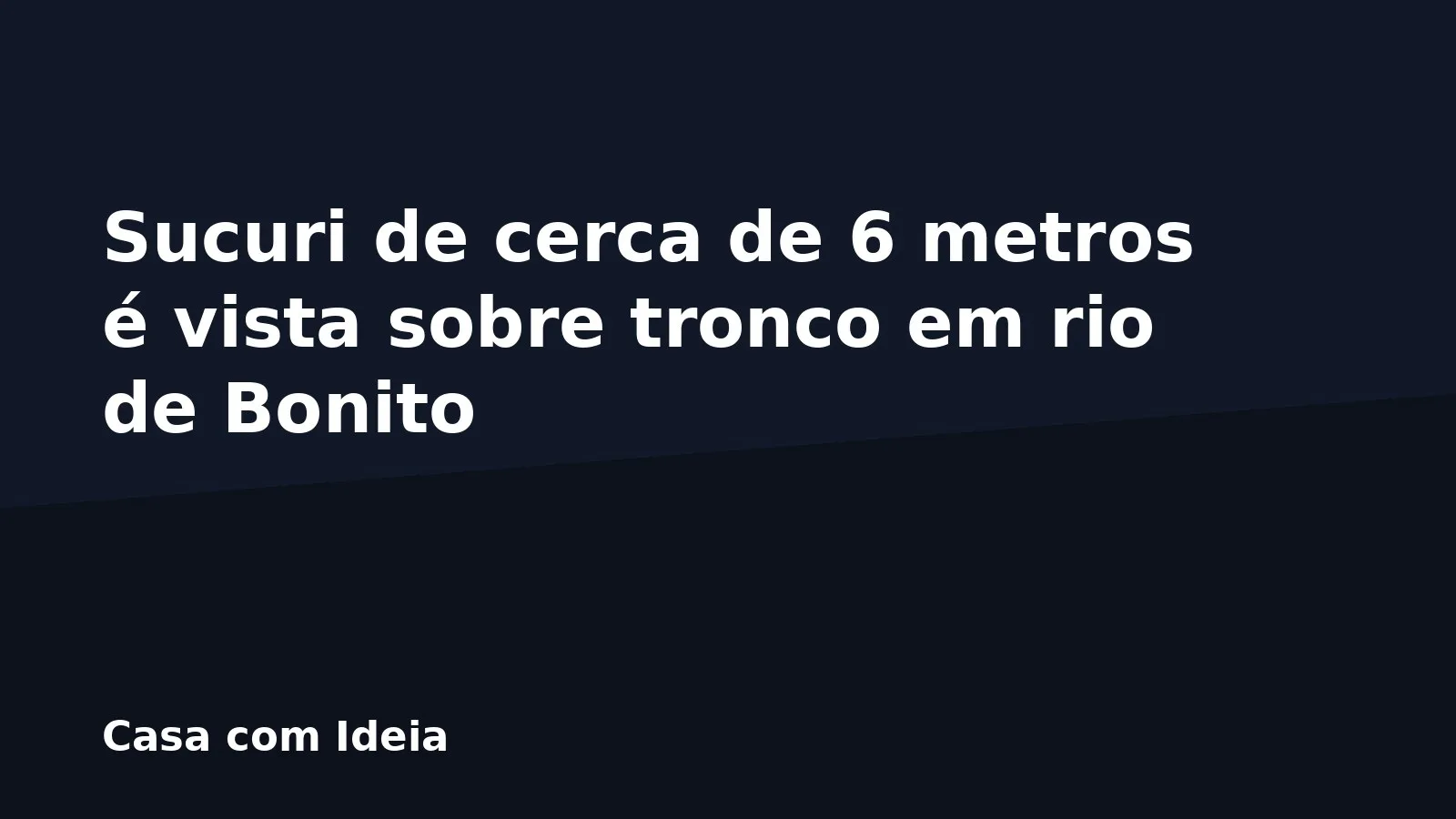 Sucuri de cerca de 6 metros é vista sobre tronco em rio de Bonito