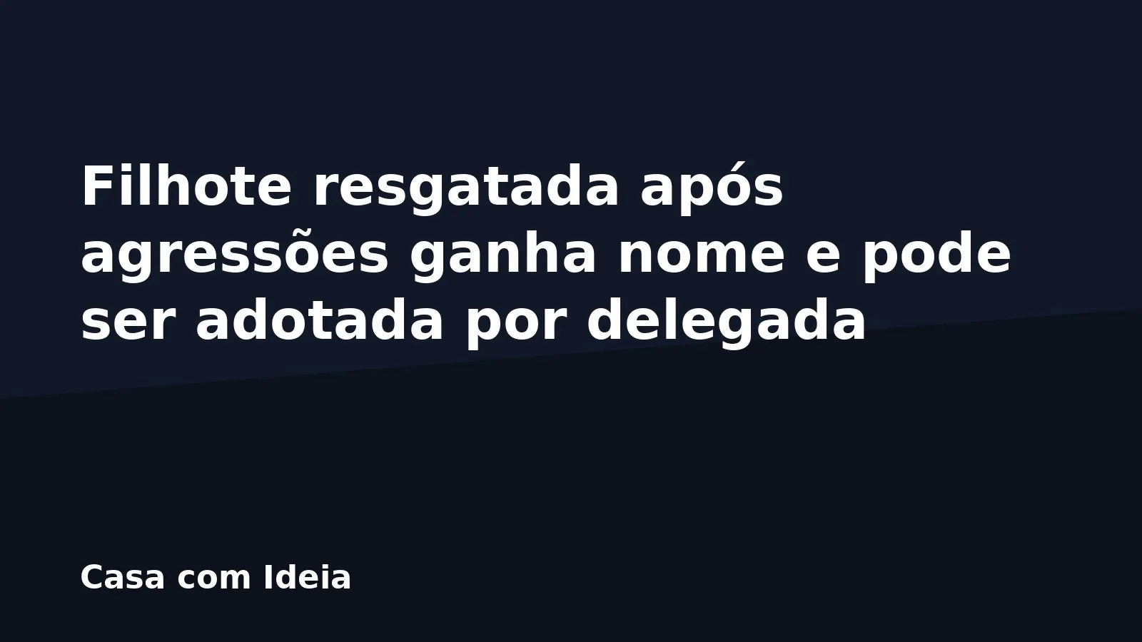 Filhote resgatada após agressões ganha nome e pode ser adotada por delegada