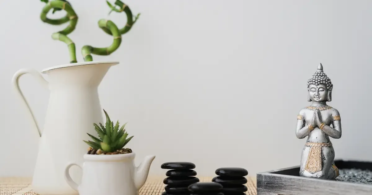 Plantas para cultivar em casa e seus significados simbólicos