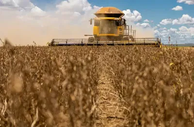 Soja chega a 91% de comercialização em MS; milho alcança 51%