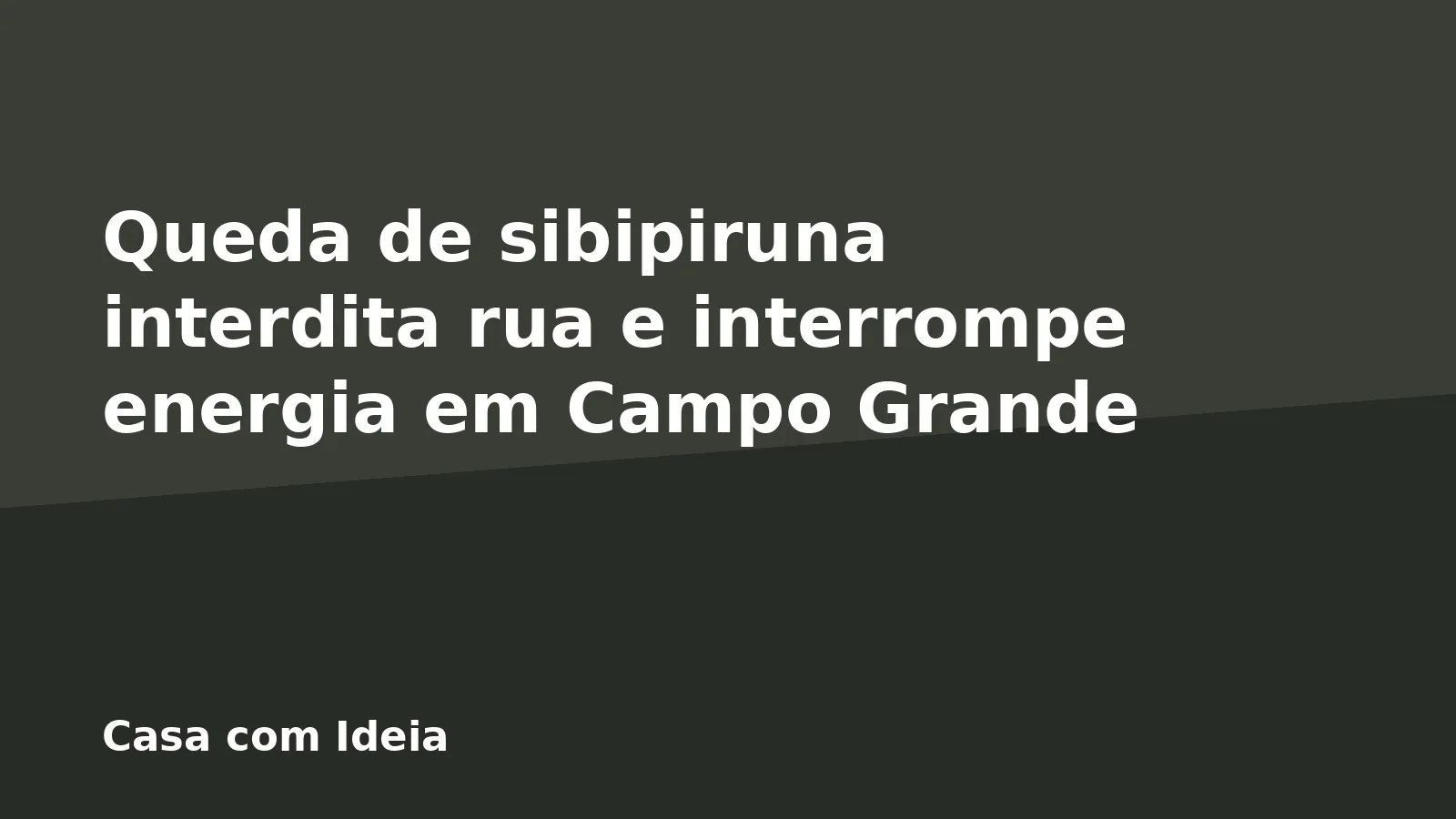 Queda de sibipiruna interdita rua e interrompe energia em Campo Grande
