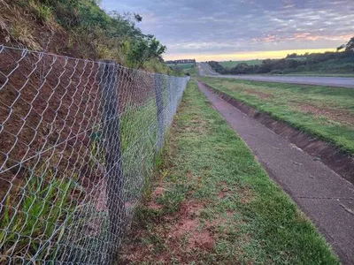 Cercas direcionadoras são essenciais para evitar atropelamentos de animais nas rodovias