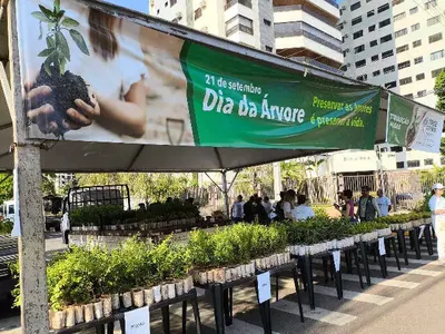 Campo Grande entrega 10 mil mudas frutíferas em sistema drive-thru