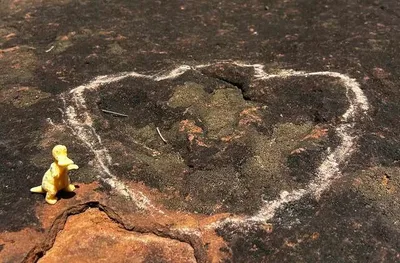 Pegadas de dinossauros de 150 milhões de anos são identificadas em Nioaque