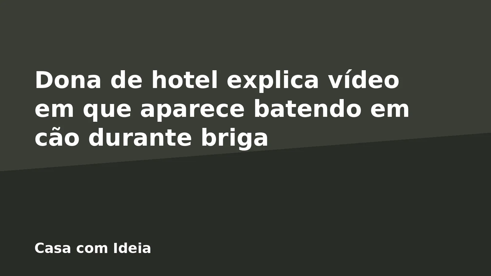 Dona de hotel explica vídeo em que aparece batendo em cão durante briga