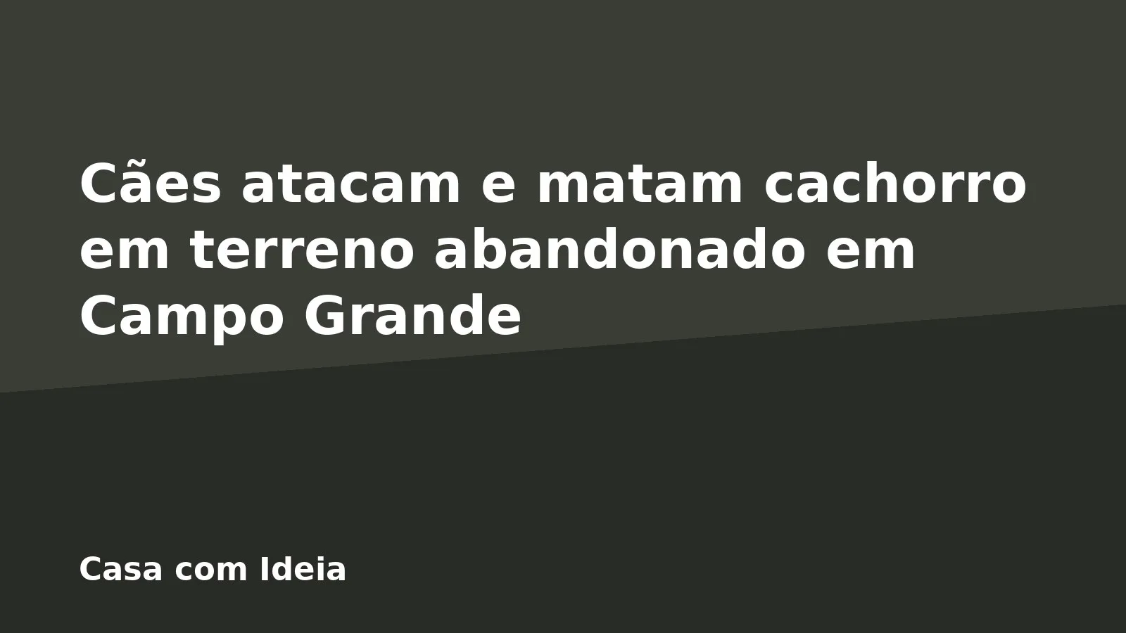 Cães atacam e matam cachorro em terreno abandonado em Campo Grande