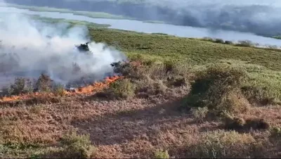 Pantanal concentra 83,3% da área queimada em Mato Grosso do Sul