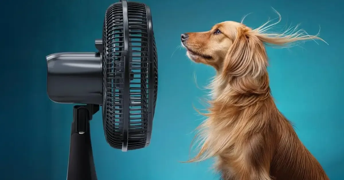 Como higienizar o ventilador sem danificar o aparelho