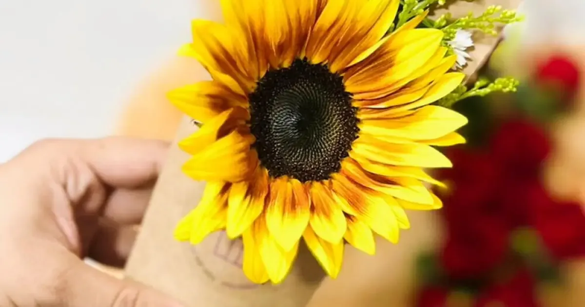 Flores que renovam a decoração da casa na primavera