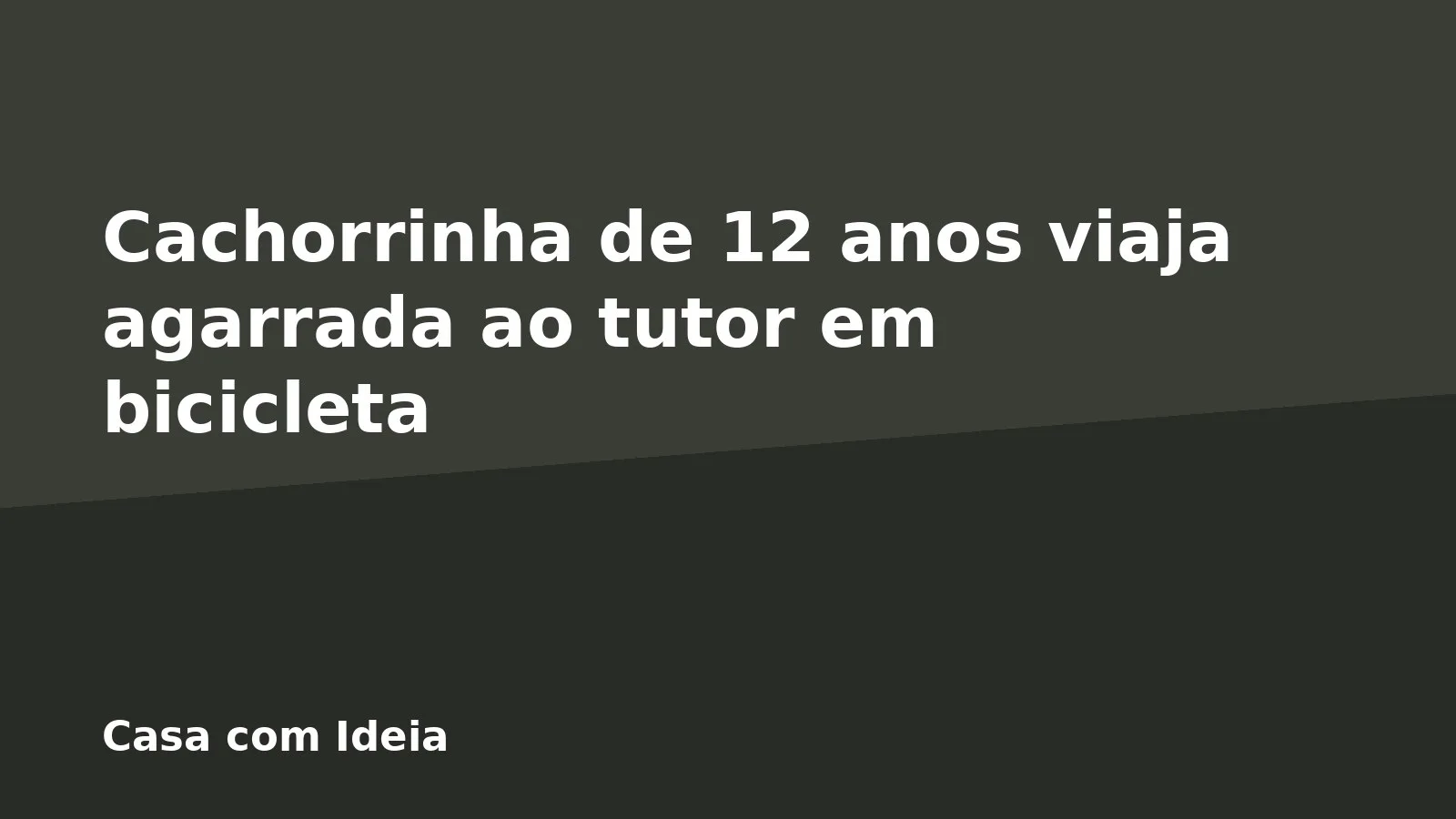 Cachorrinha de 12 anos viaja agarrada ao tutor em bicicleta