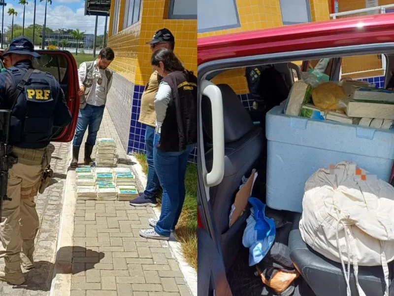 Queijo encontrado fora de câmara fria leva PRF a acionar órgão agropecuário em Caetés