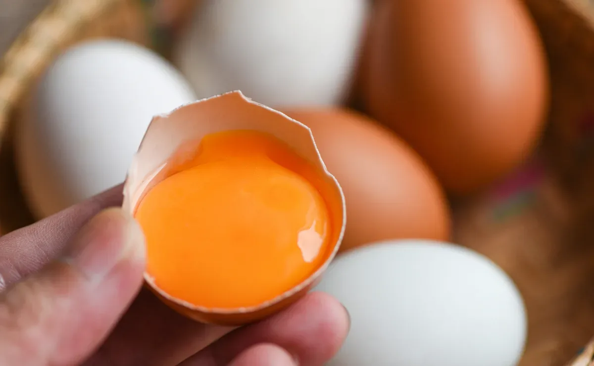 Como eliminar o cheiro de ovo da louça, das mãos e da cozinha