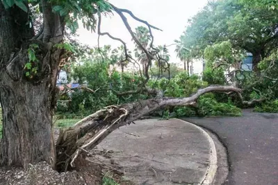 Campo Grande vai integrar dados para prevenir danos em temporais