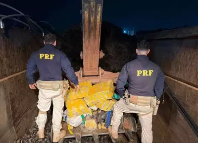 Motorista é preso com 3.447,6 quilos de maconha em carreta na BR-060