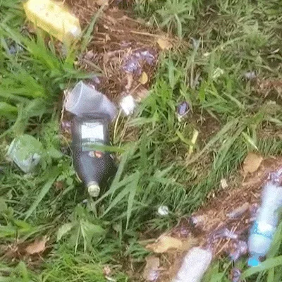 Loja no Centro de Campo Grande é furtada seis vezes em 24 horas