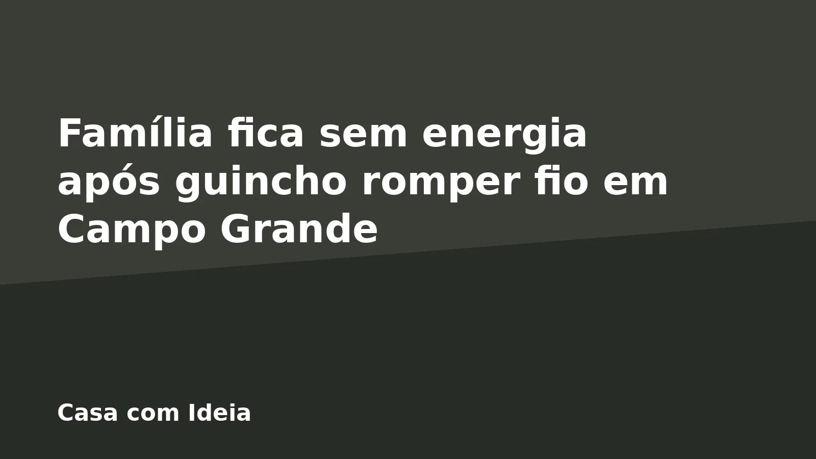 Família fica sem energia após guincho romper fio em Campo Grande