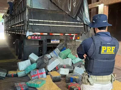 PRF apreende 5.280 quilos de maconha em carga de milho na BR-376