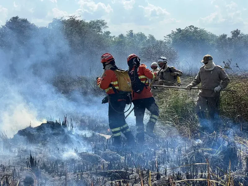 MPMS investiga incêndio que atingiu 798,56 hectares no Pantanal