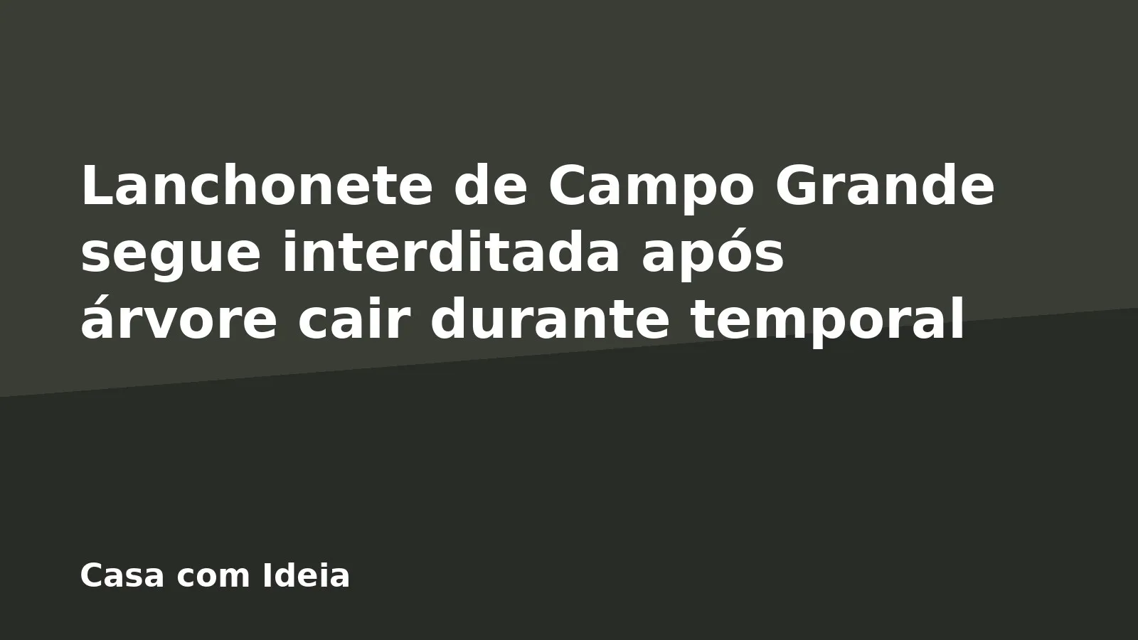 Lanchonete de Campo Grande segue interditada após árvore cair durante temporal