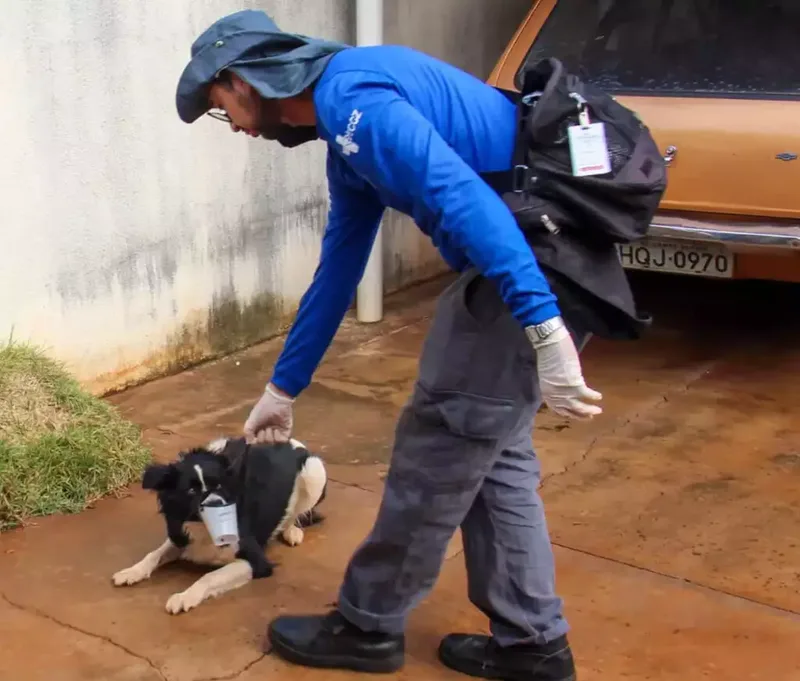 Campo Grande mantém vacinação contra a raiva no São Conrado e faz repescagem no Estrela do Sul