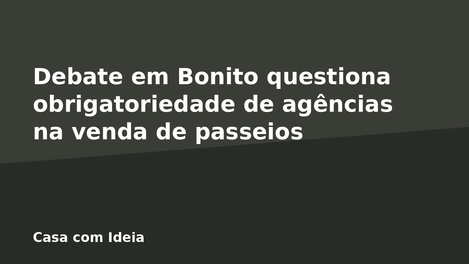 Debate em Bonito questiona obrigatoriedade de agências na venda de passeios