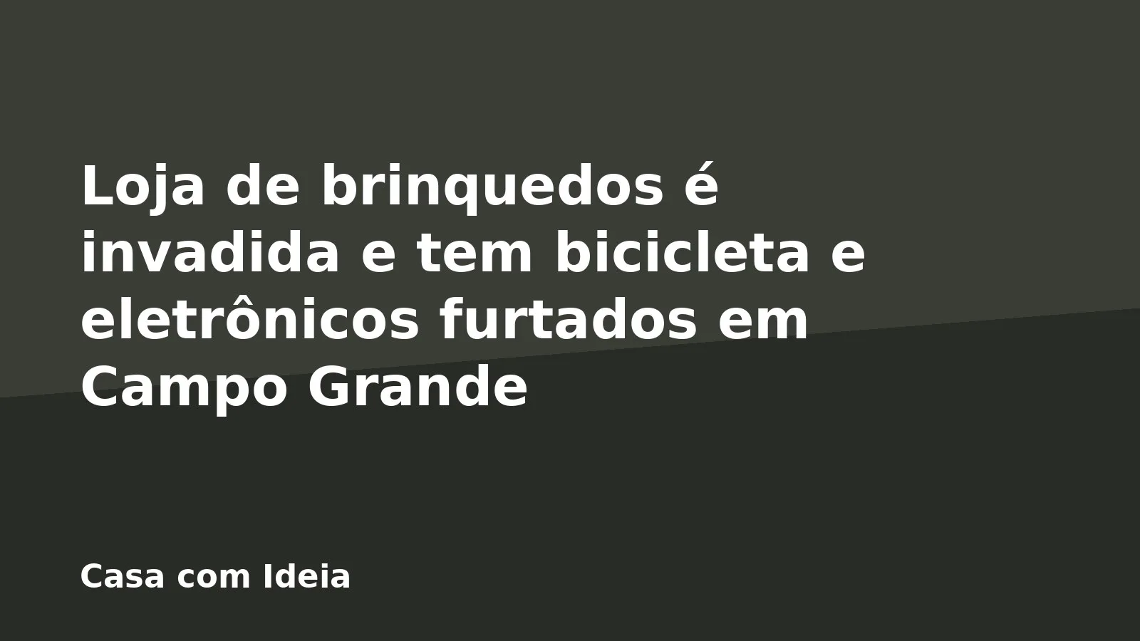 Loja de brinquedos é invadida e tem bicicleta e eletrônicos furtados em Campo Grande