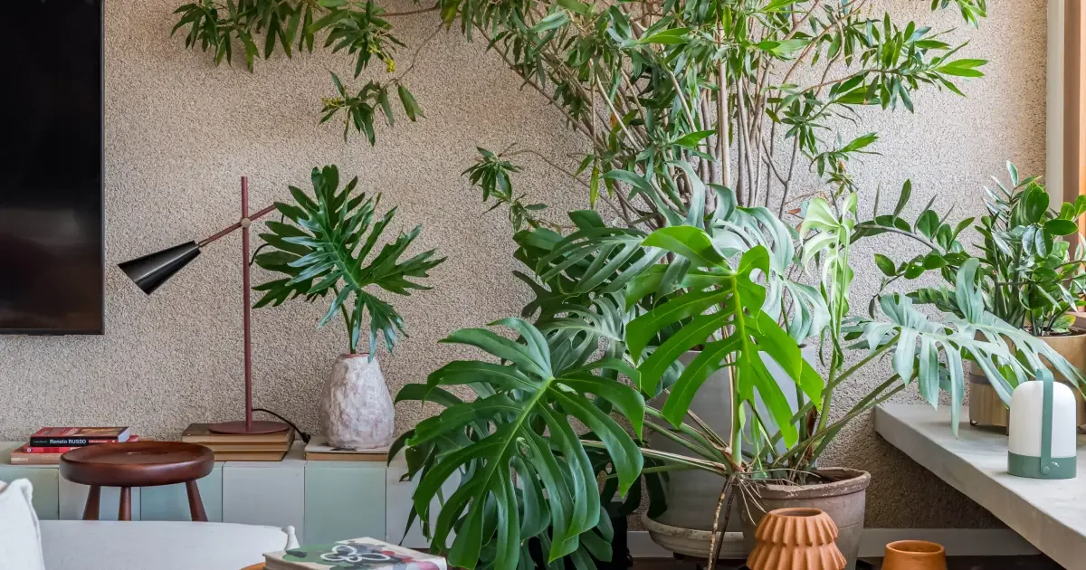 Plantas artificiais também acumulam poeira e exigem cuidado com alergias
