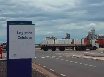 Celulose amplia empregos, produção e exportações em Mato Grosso do Sul