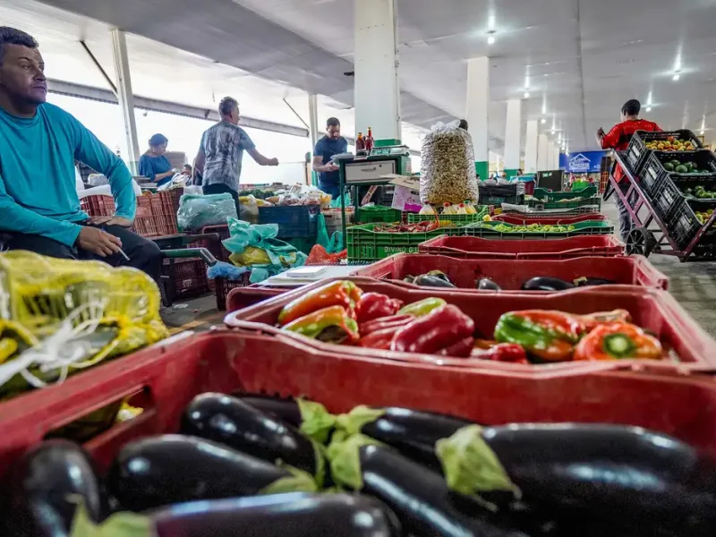 #FazAXepa leva alimentos fora do padrão a feiras, restaurantes e redes sociais