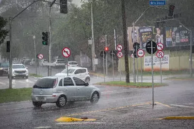Polícia Ambiental vistoria gado debilitado às margens do Rio Taquari