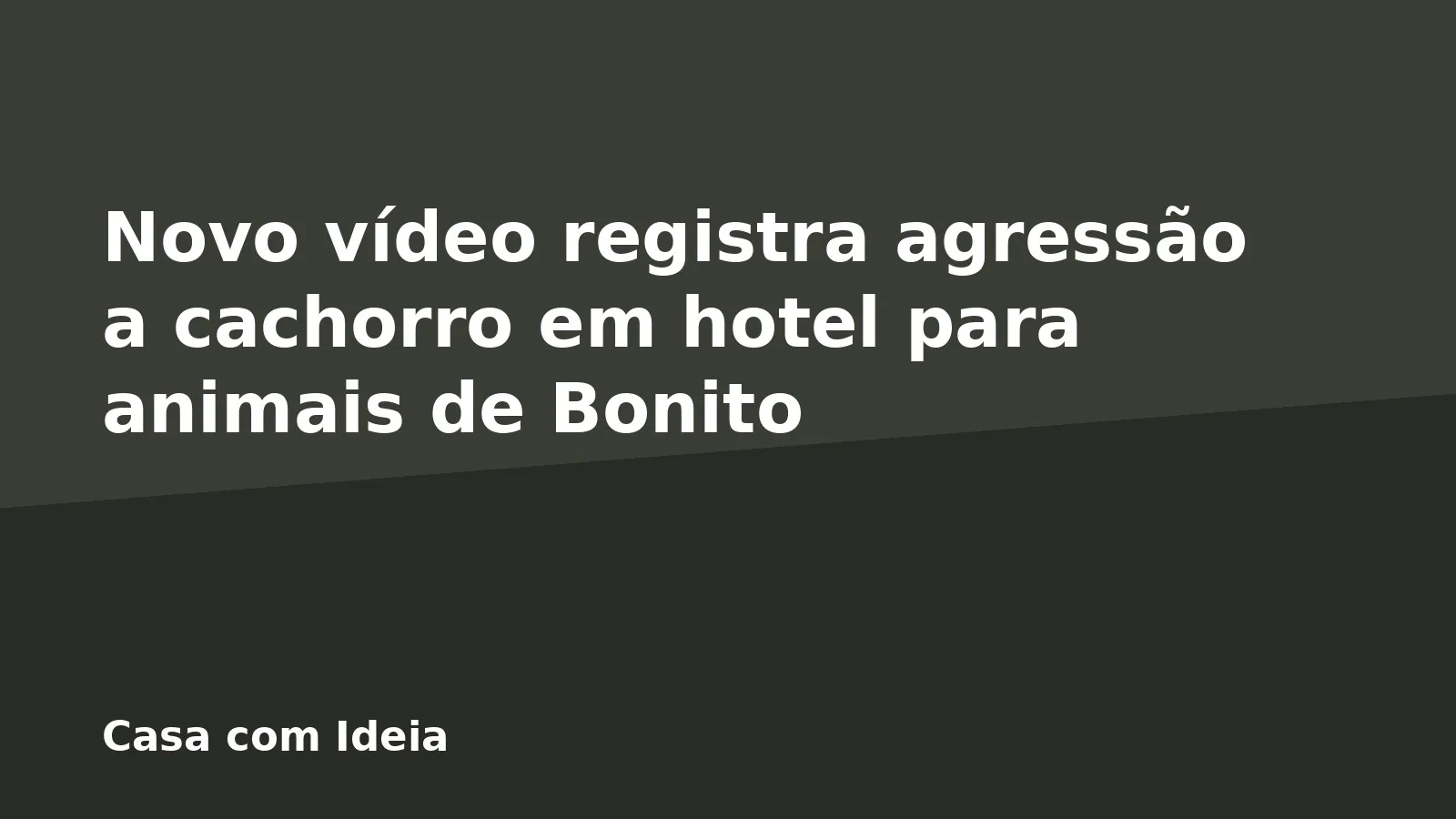 Novo vídeo registra agressão a cachorro em hotel para animais de Bonito