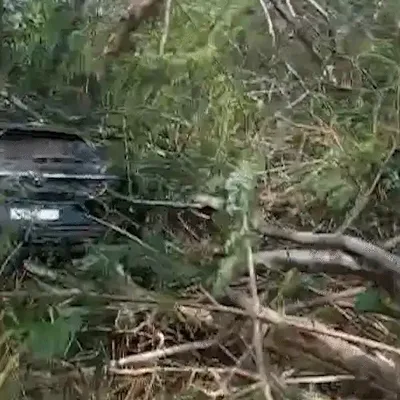Delegado aposentado é localizado após fugir de atropelamento em Campo Grande