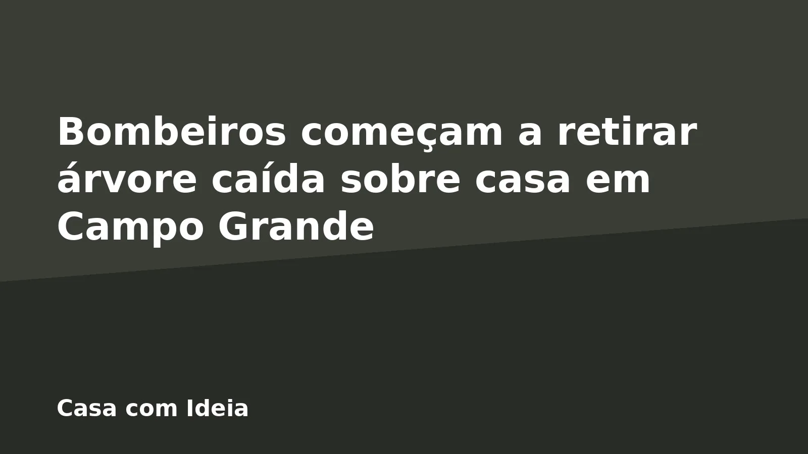Bombeiros começam a retirar árvore caída sobre casa em Campo Grande