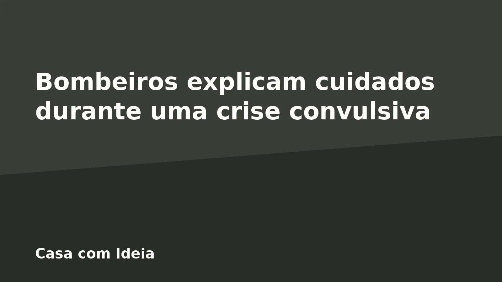 Bombeiros explicam cuidados durante uma crise convulsiva