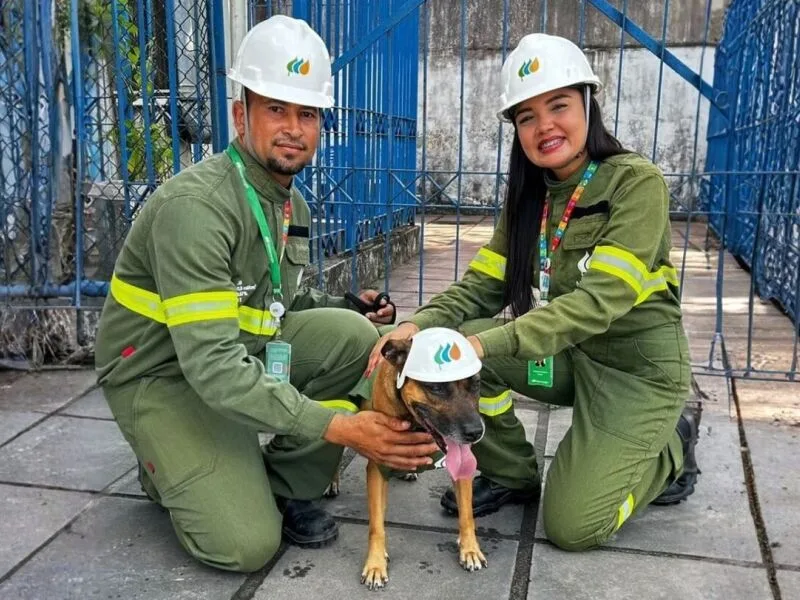 Malu participa de ações educativas sobre segurança elétrica em escola do Recife