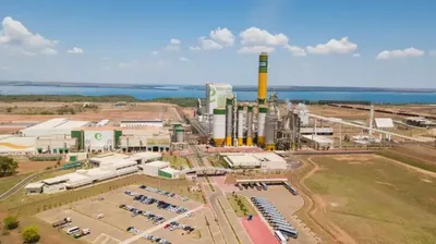 Eldorado Brasil oferece 90 vagas de trainee em quatro cidades de MS