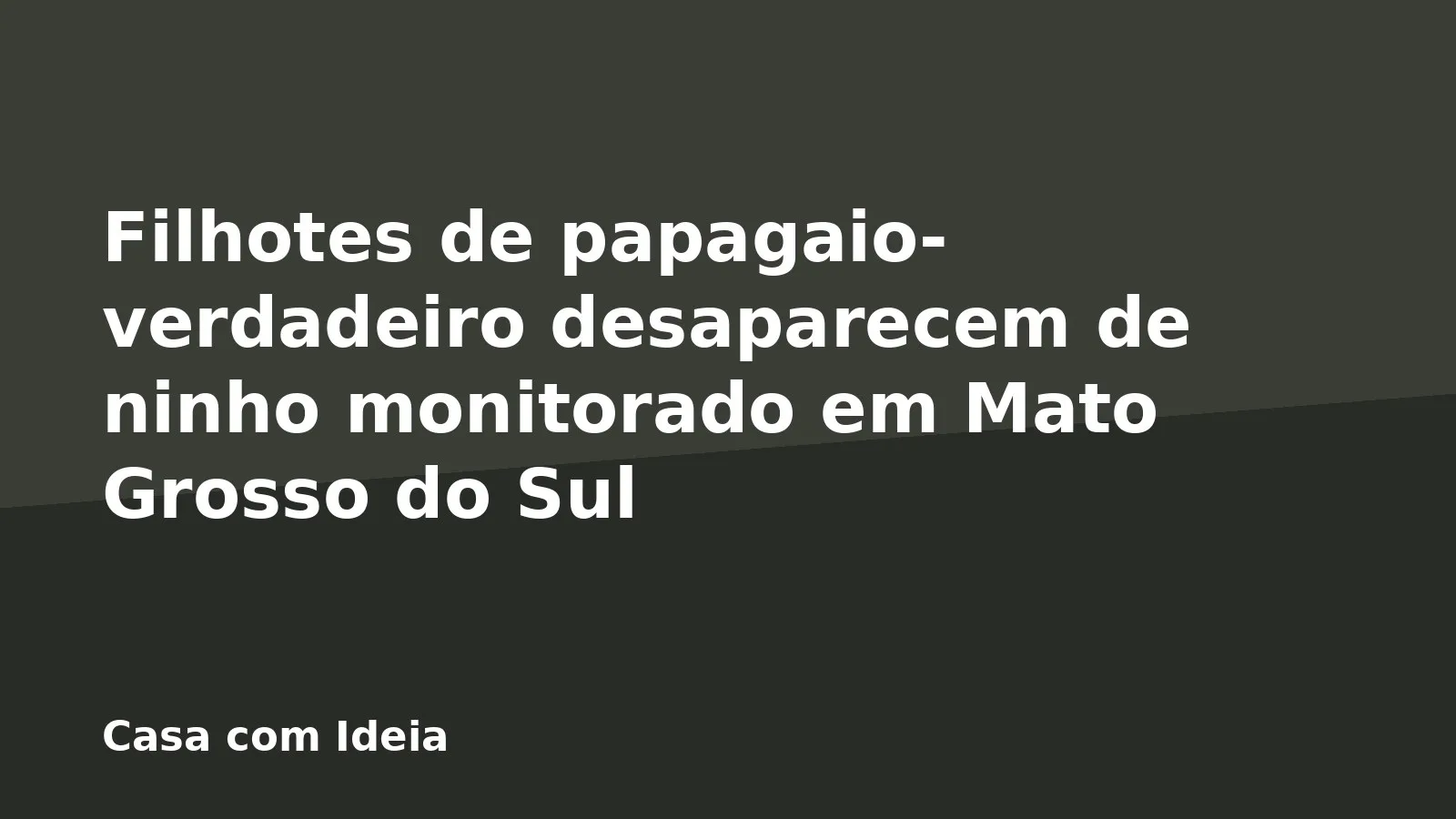 Filhotes de papagaio-verdadeiro desaparecem de ninho monitorado em Mato Grosso do Sul
