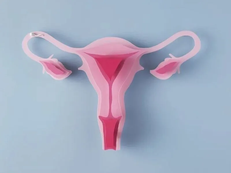 Molécula inflamatória pode ajudar a explicar dor intensa na endometriose