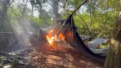 Operação destrói acampamentos e 1,8 tonelada de maconha no Paraguai