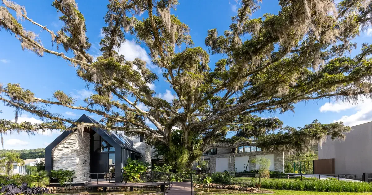 Casa da Figueira usa marcenaria sob medida para preservar árvore no projeto